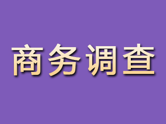 平阳商务调查